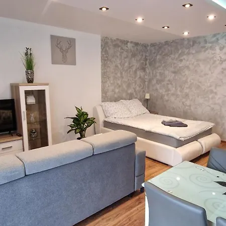 Apartament-Studio Polana Szaflarska Nowy Targ Esterno foto