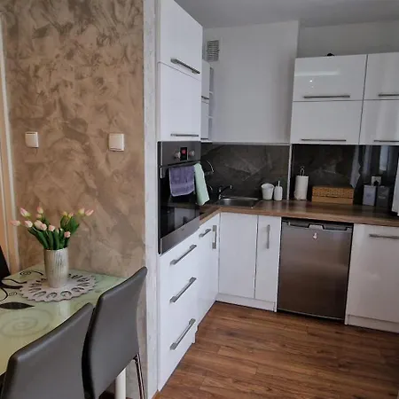 Apartament-Studio Polana Szaflarska Nowy Targ Esterno foto