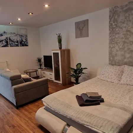 Apartament-Studio Polana Szaflarska Nowy Targ Esterno foto