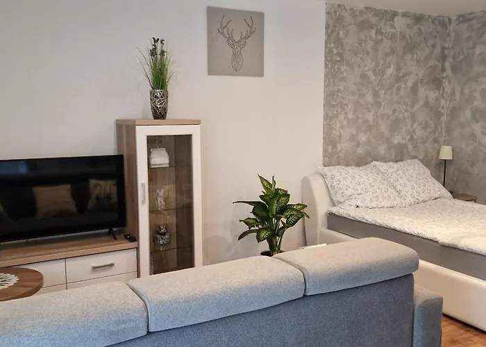 Apartament-Studio Polana Szaflarska