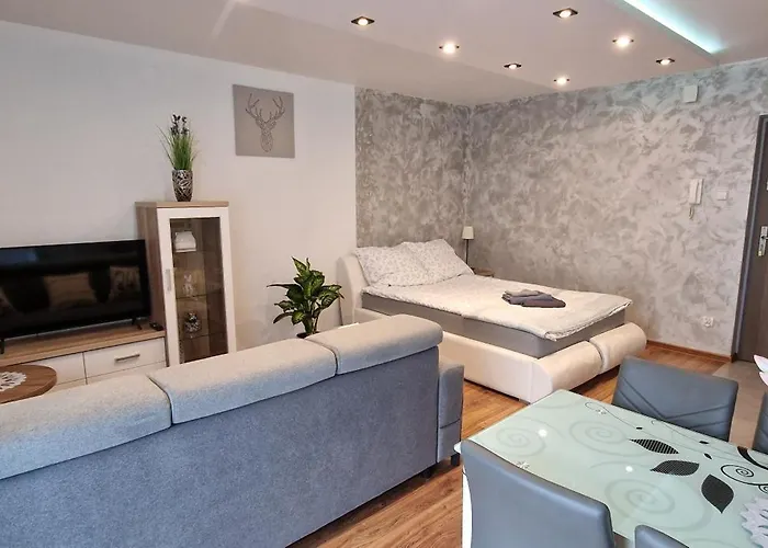Apartament-Studio Polana Szaflarska