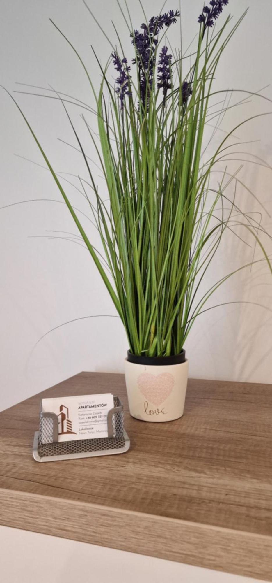 Apartament-studio Polana Szaflarska Nowy Targ