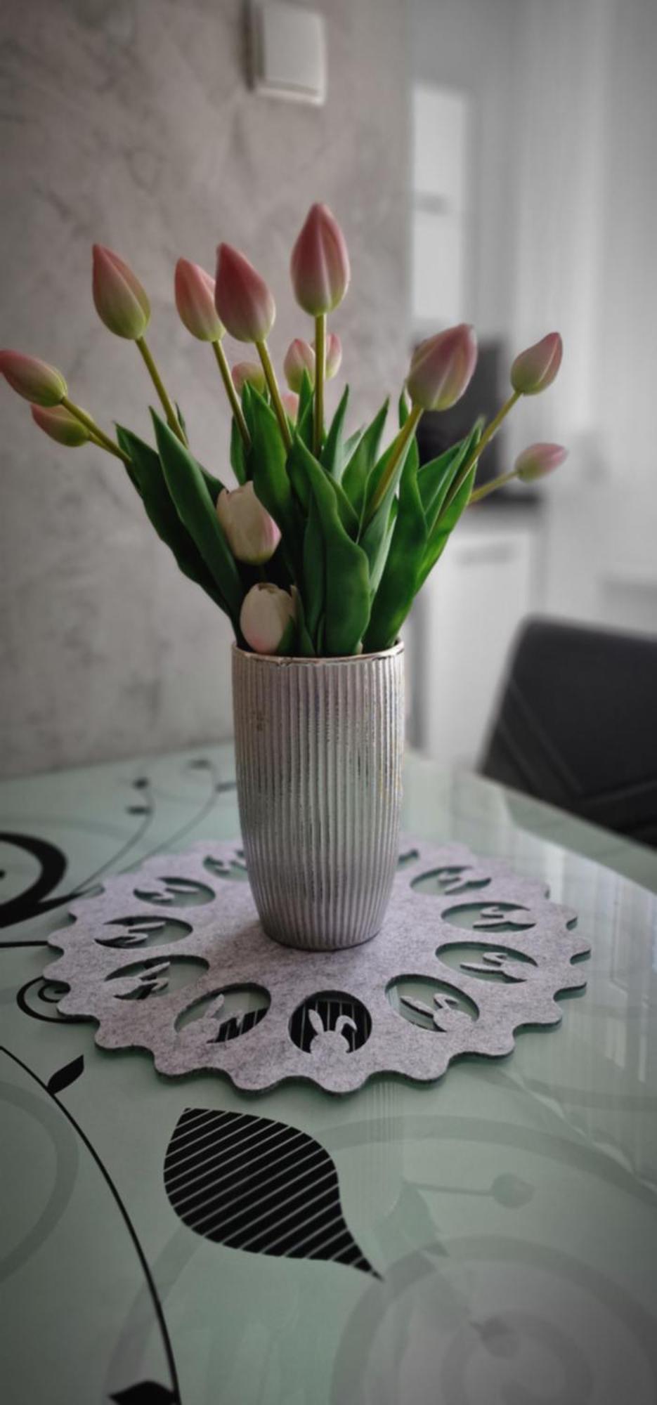 Apartament-studio Polana Szaflarska Nowy Targ