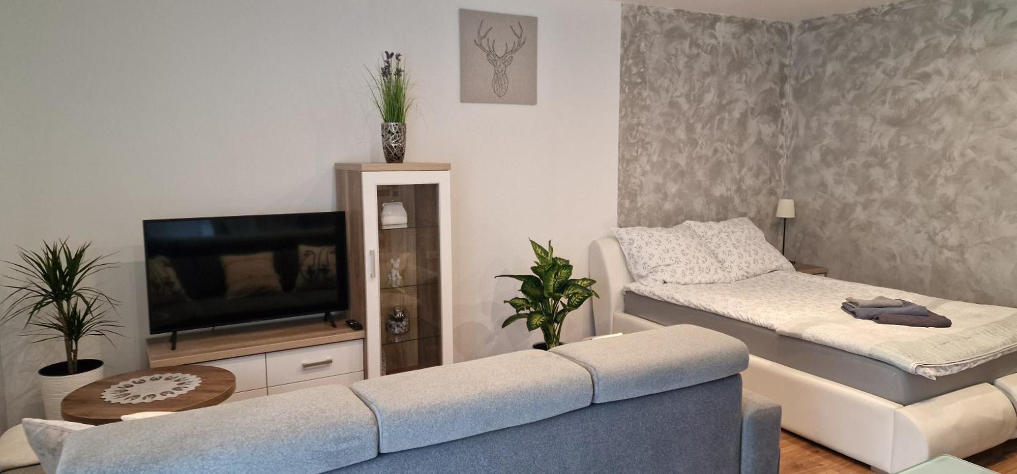 Apartament-studio Polana Szaflarska Nowy Targ